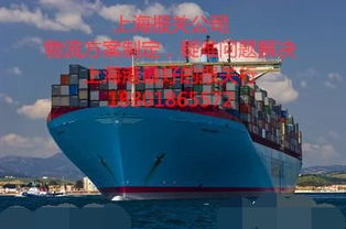 从上海出口货物 办理出口报关手续全流程指南